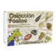 COLECCION FOSILES EN ESTUCHE REF 13517002