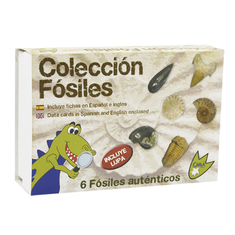 COLECCION FOSILES EN ESTUCHE REF 13517002