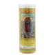 VS VIRGEN DE GUADALUPE