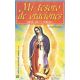 MI TESORO DE ORACIONES