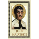 ESTAMPA JESUS MALVERDE