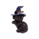 GATO NEGRO DE BRUJA 6X5CM APROX WS163C