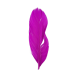 PLUMA FUSIA