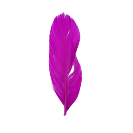 PLUMA FUSIA