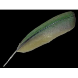 PLUMA AZUL