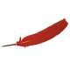 PLUMA MORADA