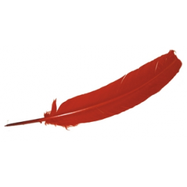 PLUMA MORADA
