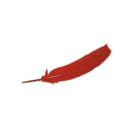 PLUMA MORADA