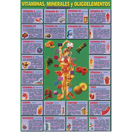 FICHA DE VITAMINAS MINERALES Y OLIGOELEMENTOS (29,5 x 21 cm) REF 2681