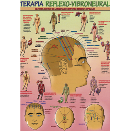 FICHA TERAPIA REFLEXO-VIBRONEURAL (29,5 x 21 cm) REF 4722