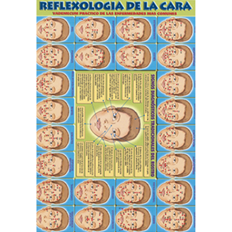FICHA REFLEXOLOGIA DE LA CARA REF 4039
